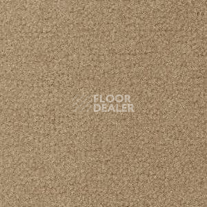 Ковролин Radici Forum Biondo 2104 фото 1 | FLOORDEALER